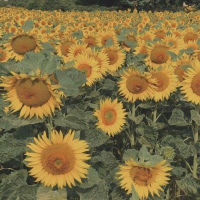 陕西水处理及饮用水灌装设备行业...